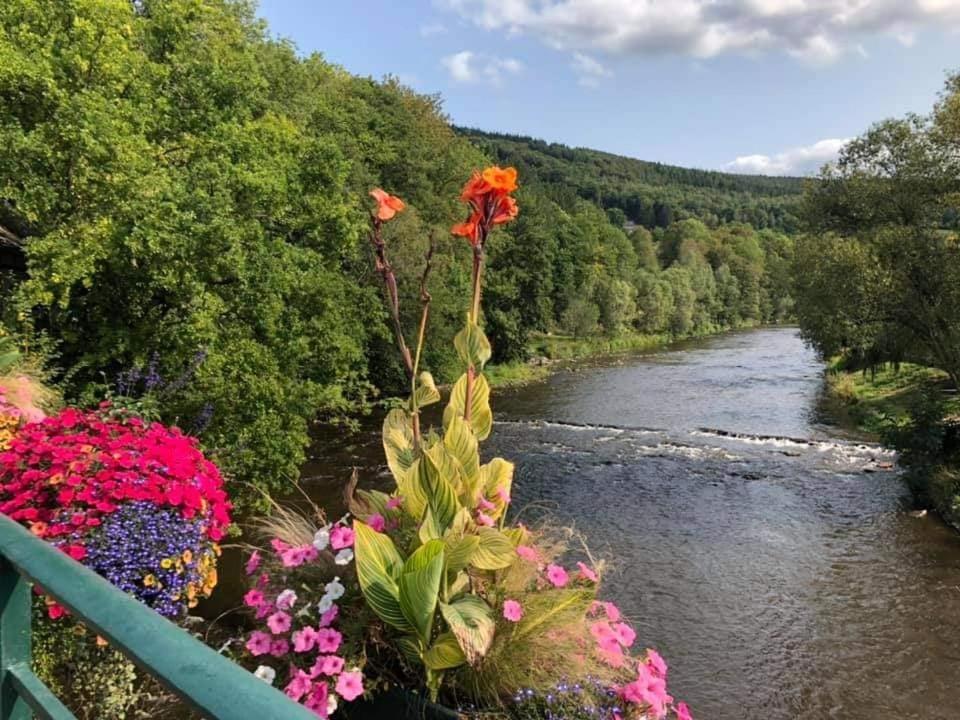 Le Chalet Castor - Camping International - Bomal - Durbuy Eksteriør bilde